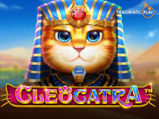 Cool cat casino login. Casino per.87